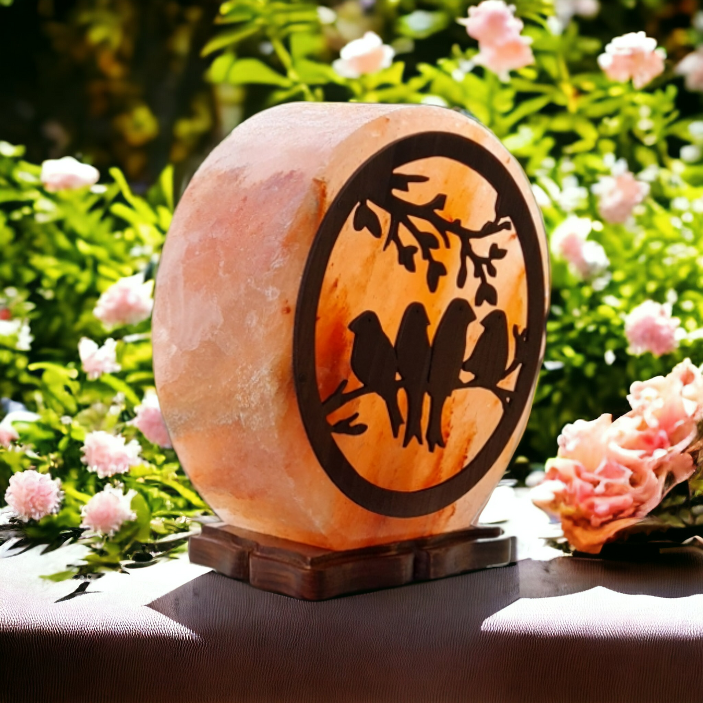 Lampe de sel rose de l'Himalaya 3D : Oiseaux (Taille L avec variateur de lumière)