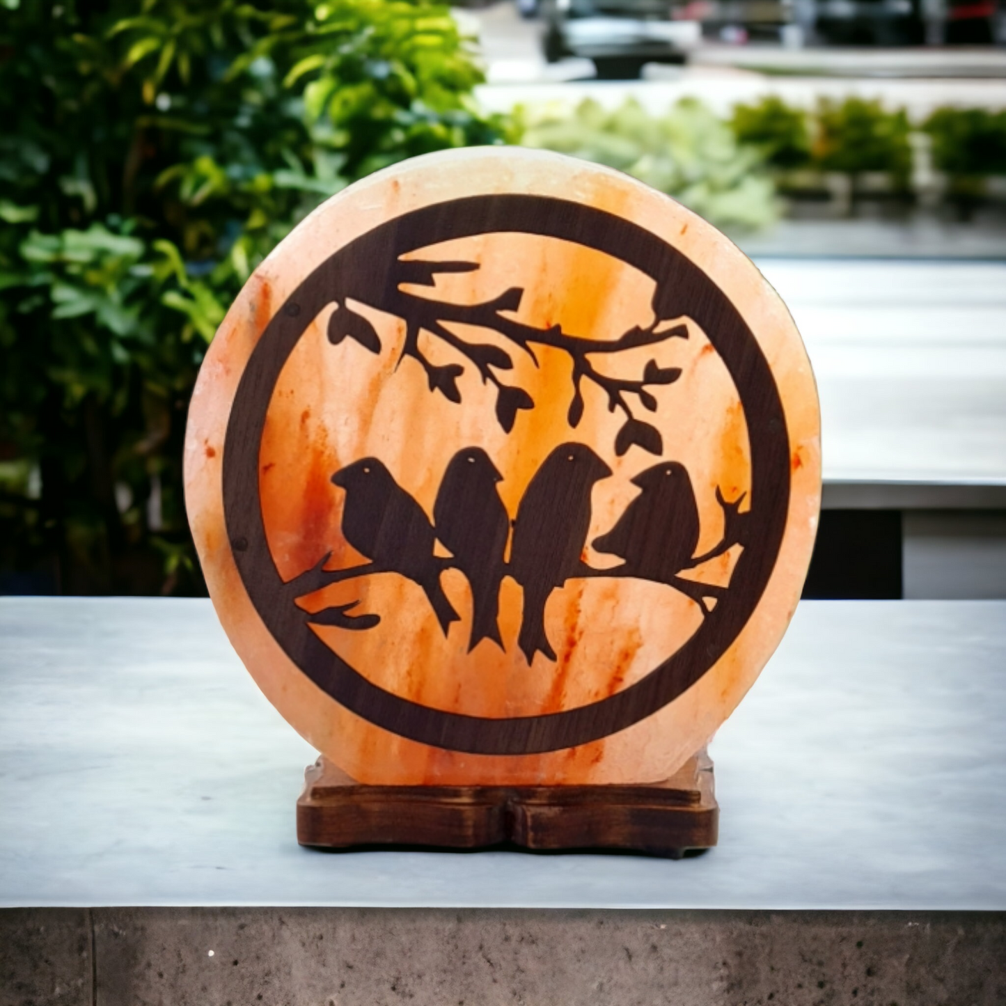 Lampe de sel rose de l'Himalaya 3D : Oiseaux (Taille L avec variateur de lumière)