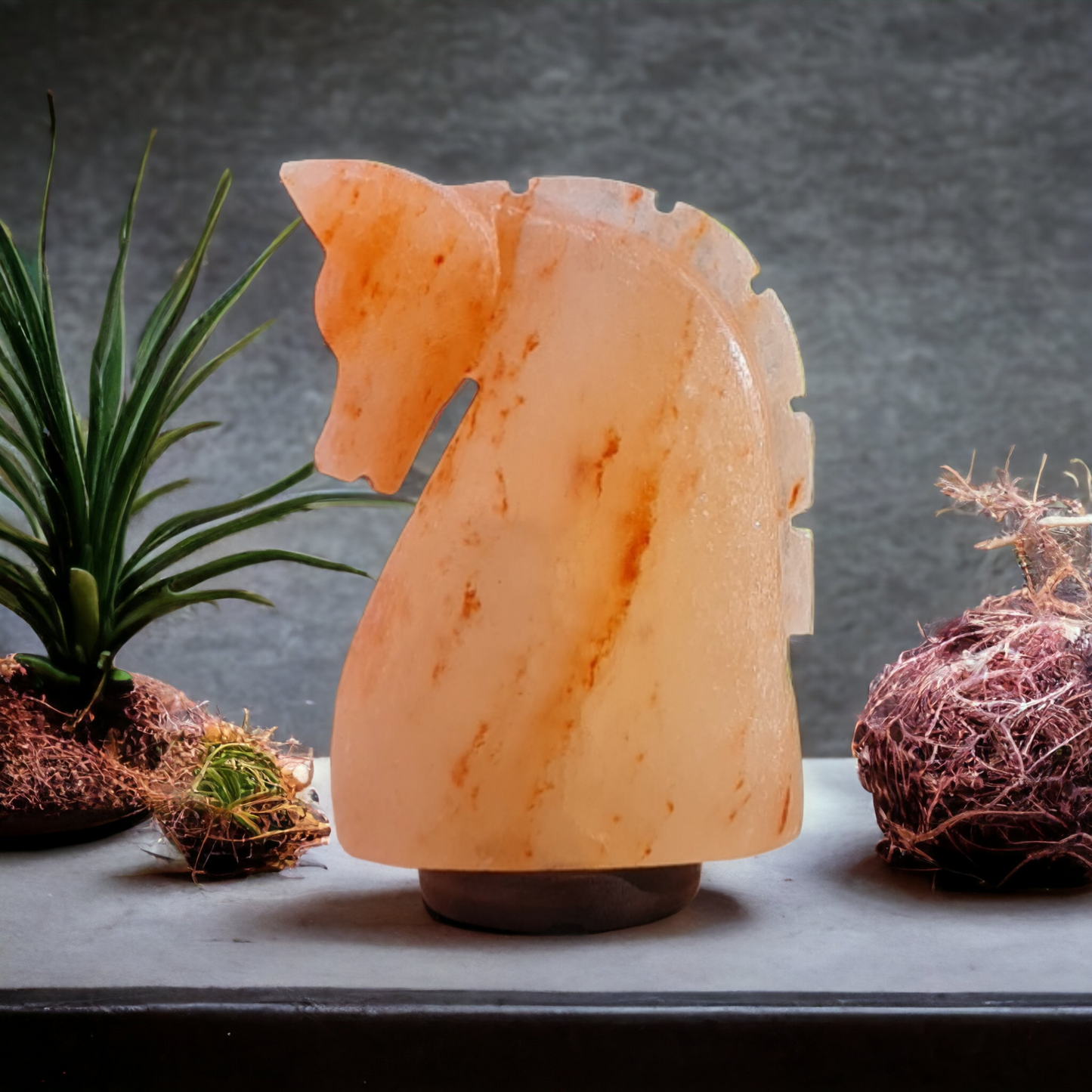 Lampe de sel rose de l'Himalaya : Cheval (Taille L avec variateur de lumière)