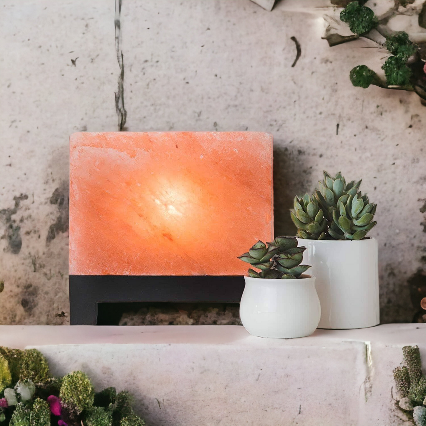 Lampe de sel rose de l'Himalaya : Rectangle (Taille L avec variateur de lumière)