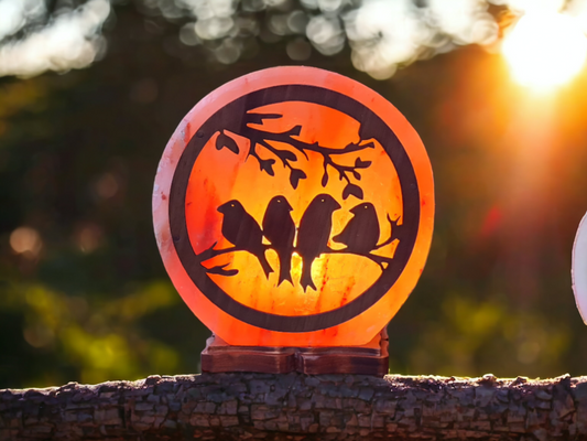 Lampe de sel rose de l'Himalaya 3D : Oiseaux (Taille L avec variateur de lumière)